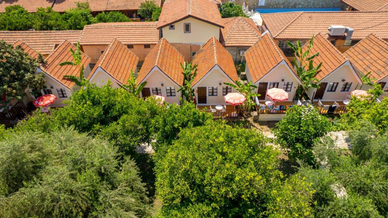 Clover Magic Nova Beach Hotel Side Eksteriør bilde